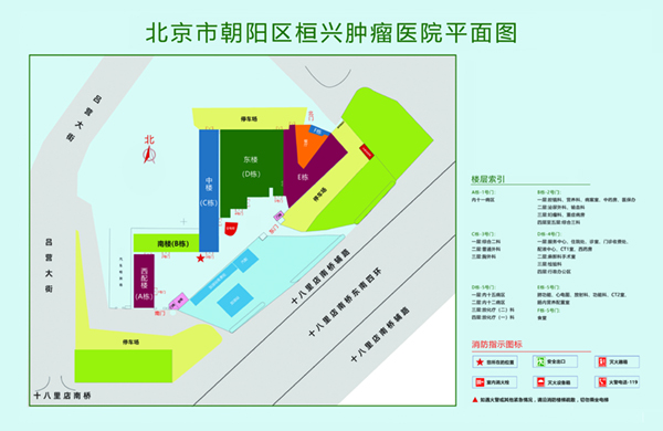 www屌戳阴道免费北京市朝阳区桓兴肿瘤医院平面图